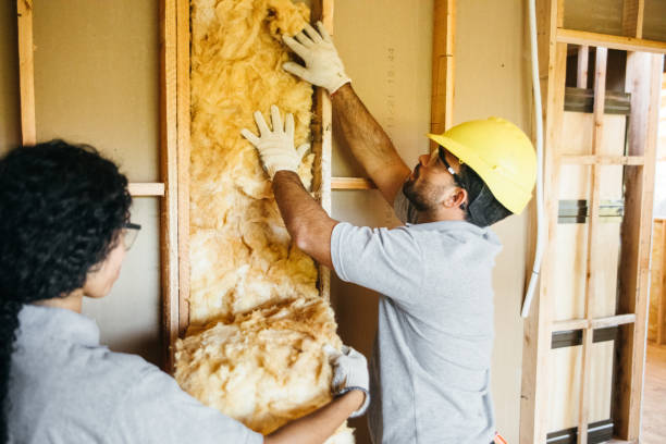 Best Attic Insulation Installation  in Bonnie Brae, IL