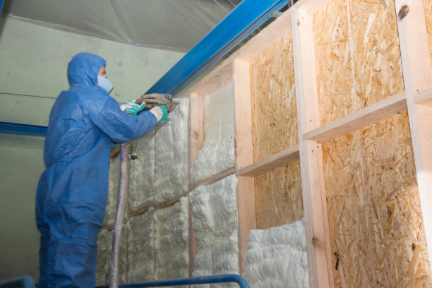 Best Home Insulation Services  in Bonnie Brae, IL