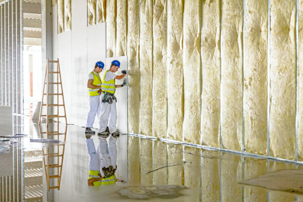Best Cellulose Insulation  in Bonnie Brae, IL